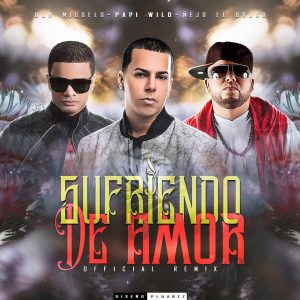 Papi Wilo Ft. Nejo Y Don Miguelo – Sufriendo de Amor (Official Remix)